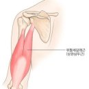 소유창 휘트니스 네이버블로그