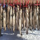 겨울에 더 잘 맞는 따끈한 황태 미역국 이미지