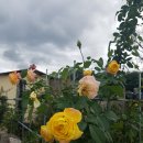 한림정역 이미지