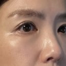 가을 믹스앤매치 음영 메이크업을 위한 멀티 어셈블 섀도우 팔레트