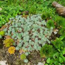 새마을가게 이미지