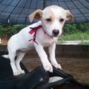 대암보건진료소 이미지