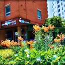 대야행복한어린이집 이미지