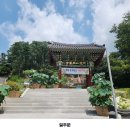 한목장 | 무량수목장 잔디장으로 장지까지 한 번에 진행한 후기, ft. 장서 장지 상담!