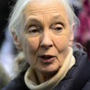 제인이화 이미지