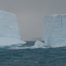 사우스조지아 섬(South Georgia Island)의 유빙과 펭귄들 이미지