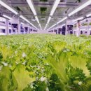 호법보건지소 이미지