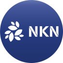 엔케이엔(NKN)