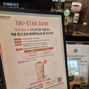 메가엠지씨커피서귀포효돈점 | 자몽 망고 코코프라푸치노 스타벅스 가격 이벤트 내돈내산