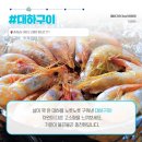 충남 태안 용신마을