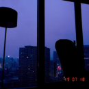 엘디스리젠트호텔 이미지