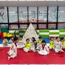 체육의 신 태권도장 이미지