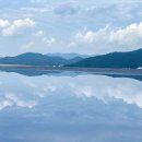 강성은꽃 이미지