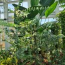 농업기술센터 본관 화장실 | 이런곳이있었어요농업기술센터안숨은식물원