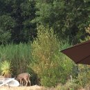 삼보사길 이미지