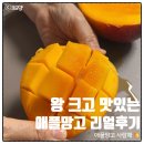 프레쉬픽 딜리셔스 마켓 제주산 애플망고 후기 자르는법 보관법까지