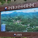 통고산자연휴양림 리얼 숙박후기! 에어컨 사용방법 및 와이파이문제 등