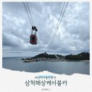 한국종합카 | 삼척 가볼만한곳, 해상케이블카 (장호역 출발 예약 시간 가격, 4살 아기랑)