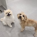 바우스쿨 이미지