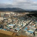 내고향서천 이미지