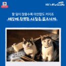 펫뉴트리션