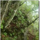 하돌목교 이미지