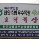효덕목장 이미지