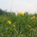 강변의 하루 이미지