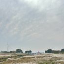 하늘공원 화장실 이미지