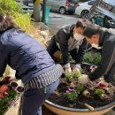 간석3동-19 이미지