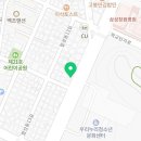 커들리 퍼피 창원강아지 분양 이미지