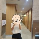 팀에스티 | [취준리뷰] 에스티유니타스 노무사단기 면접 후기 (온라인 콘텐츠기획 지원, 1차면접 후 컬쳐핏 면접...