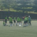 안성시종합운동장 이미지