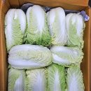 알배기 이미지
