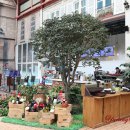 뮌스터담 이미지