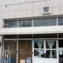부산전포빵지순례 [ 희와제과 ] 애플크림치즈/소금버터/호두고르곤졸라/옥수수크림치즈 내돈내산 솔직후기