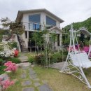 담양버치 이미지