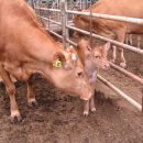 송정농장 이미지