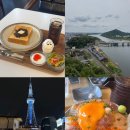 신우ST | 나혼자 나고야 (2): 킷사모닝, 이누야마성, 사카나팩토리, 이온몰, 토리키조쿠, 미라이타워, 오아시스21...