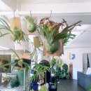 옐로우엠 | 남양주 애견동반 카페 엠아르, 북한강 보면서 브런치 하기