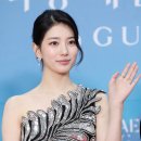 수지 이미지