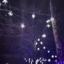 Lights at Lafarge 라파지 레이크 조명 전시 | 라파지호 낚시 계절 정보 | 라파지 인공호수 전 역사