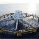 그린축산 이미지