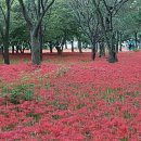 목양산방