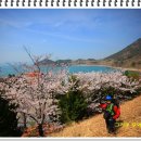사촌마을해수욕장민박