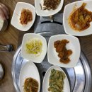 맛쌤 김치찜의정석 다이닝코드