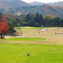 이포골프장 이미지