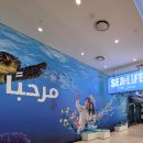 스포츠문화타운 이미지