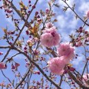 구름다리농장 이미지