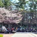 체육공원로399번길 이미지